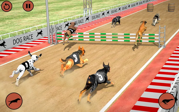 Cách Chơi Game Nhanh Đua Chó Tại EE88 Để Hốt Bạc Nhanh Chóng