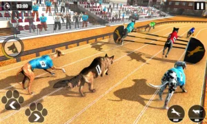 Cách Chơi Game Nhanh Đua Chó Tại EE88 Để Hốt Bạc Nhanh Chóng